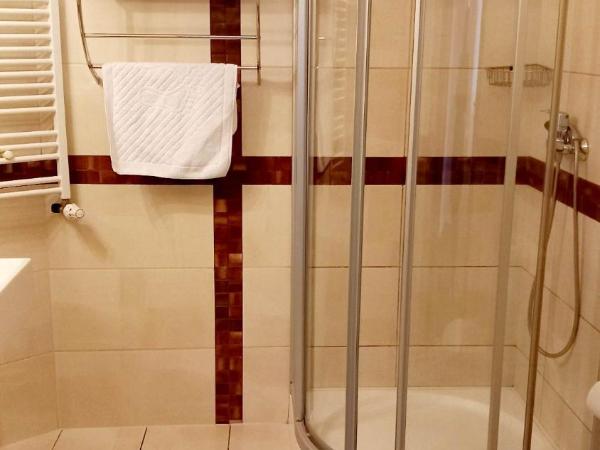 Hotel i Restauracja 13 Smaków : photo 3 de la chambre chambre triple avec salle de bains