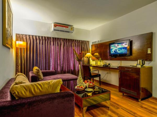 Gis Select Banjara Hill : photo 1 de la chambre suite