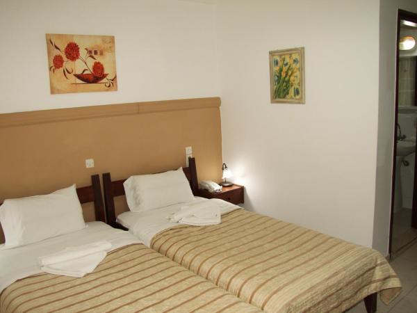 Danaos Hotel : photo 7 de la chambre chambre lits jumeaux - vue sur ville