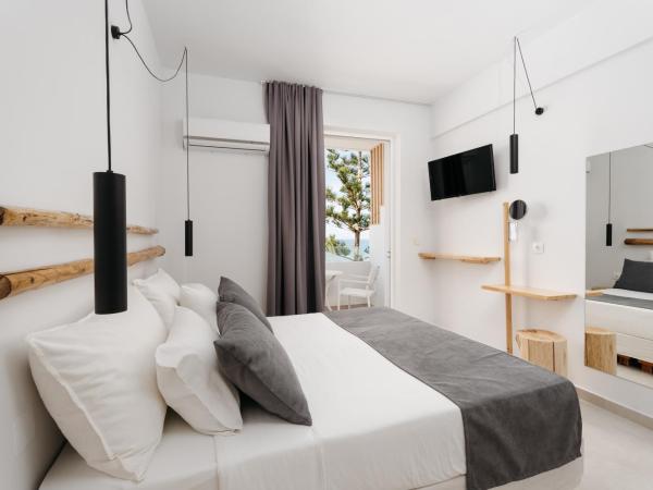 Petradi Beach Lounge Hotel : photo 7 de la chambre chambre double classique - vue sur mer
