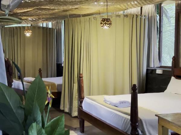 Aranyagiri Countryside Resort, Near Pune : photo 2 de la chambre modern wada with garden view