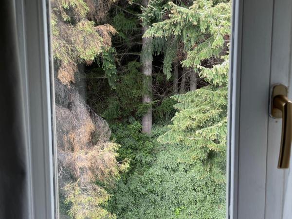 Hotel Tunquelén : photo 5 de la chambre appartement