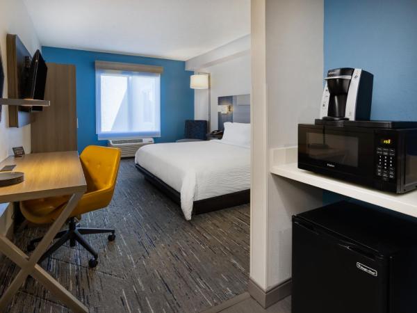 Holiday Inn Express and Suites Tampa I-75 at Bruce B. Downs, an IHG Hotel : photo 5 de la chambre chambre lit king-size - accessible aux personnes à mobilité réduite / adapté aux malentendants