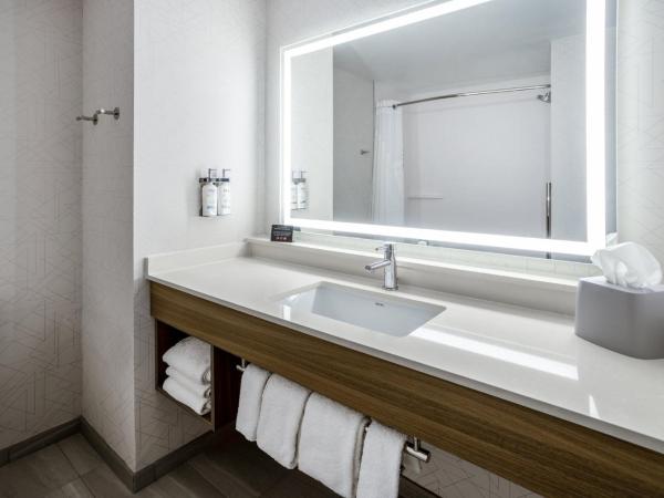 Holiday Inn Express and Suites Tampa I-75 at Bruce B. Downs, an IHG Hotel : photo 5 de la chambre chambre standard