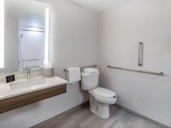 Holiday Inn Express and Suites Tampa I-75 at Bruce B. Downs, an IHG Hotel : photo 6 de la chambre chambre lit king-size - accessible aux personnes à mobilité réduite / adapté aux malentendants