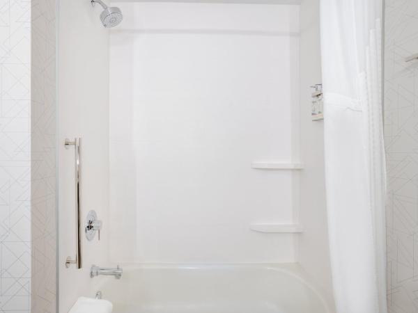 Holiday Inn Express and Suites Tampa I-75 at Bruce B. Downs, an IHG Hotel : photo 6 de la chambre chambre standard