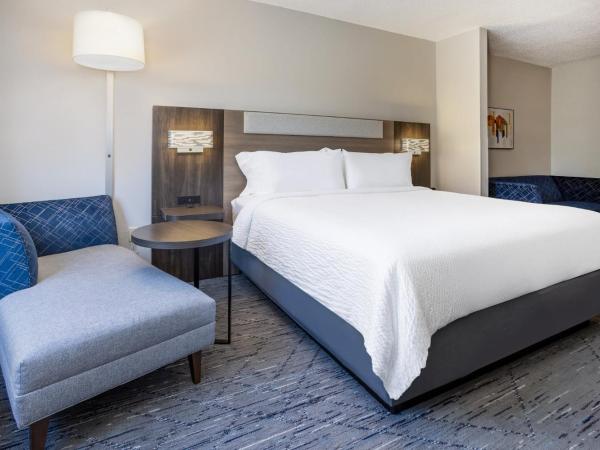 Holiday Inn Express and Suites Tampa I-75 at Bruce B. Downs, an IHG Hotel : photo 6 de la chambre suite lit king-size – non-fumeurs