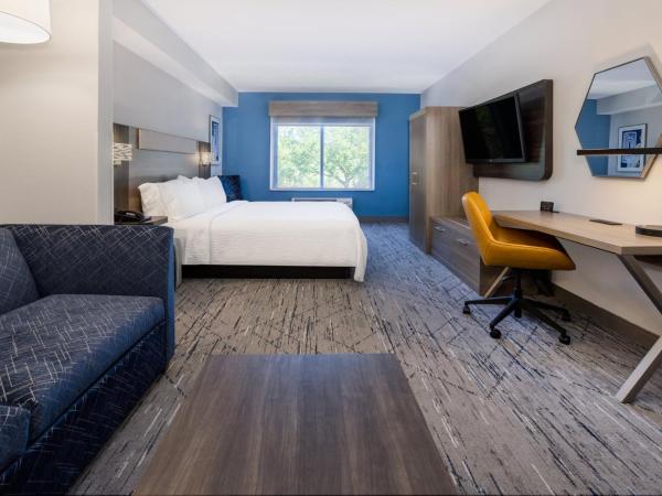 Holiday Inn Express and Suites Tampa I-75 at Bruce B. Downs, an IHG Hotel : photo 5 de la chambre suite lit king-size avec canapé-lit - adaptée aux personnes malentendantes