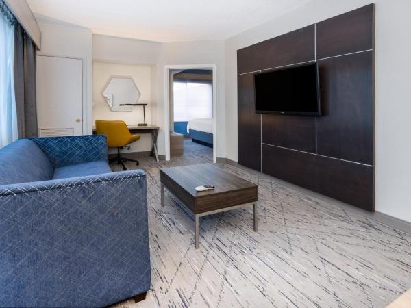 Holiday Inn Express and Suites Tampa I-75 at Bruce B. Downs, an IHG Hotel : photo 8 de la chambre suite 2 chambres