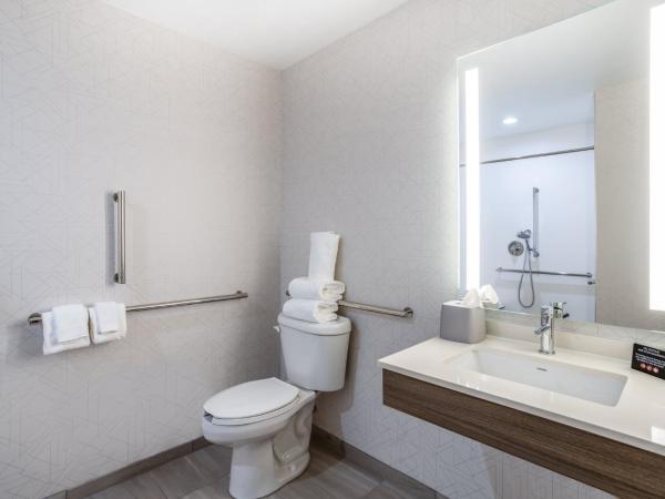 Holiday Inn Express and Suites Tampa I-75 at Bruce B. Downs, an IHG Hotel : photo 5 de la chambre chambre avec 2 lits queen-size et douche accessible en fauteuil roulant - accessible aux personnes malentendantes - non-fumeurs