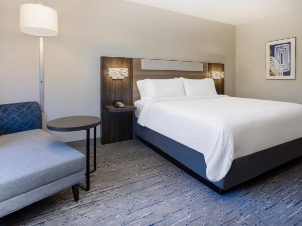 Holiday Inn Express and Suites Tampa I-75 at Bruce B. Downs, an IHG Hotel : photo 10 de la chambre chambre lit king-size standard