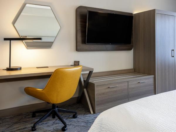 Holiday Inn Express and Suites Tampa I-75 at Bruce B. Downs, an IHG Hotel : photo 7 de la chambre chambre standard