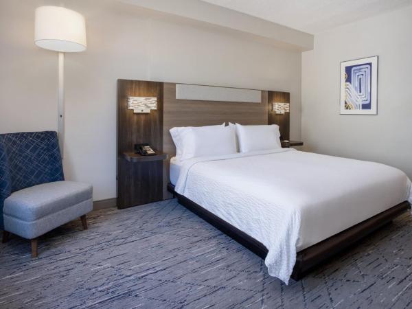 Holiday Inn Express and Suites Tampa I-75 at Bruce B. Downs, an IHG Hotel : photo 9 de la chambre chambre lit king-size - accessible aux personnes à mobilité réduite / adapté aux malentendants