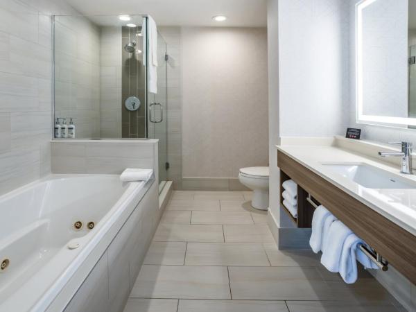 Holiday Inn Express and Suites Tampa I-75 at Bruce B. Downs, an IHG Hotel : photo 10 de la chambre suite 2 chambres