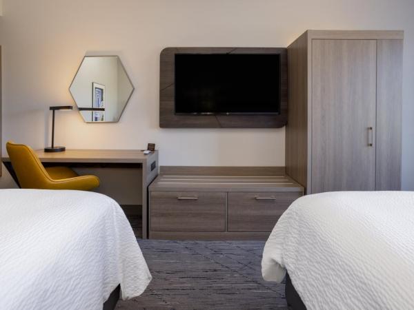 Holiday Inn Express and Suites Tampa I-75 at Bruce B. Downs, an IHG Hotel : photo 10 de la chambre chambre standard avec 2 lits queen-size