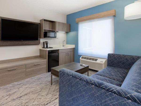 Holiday Inn Express and Suites Tampa I-75 at Bruce B. Downs, an IHG Hotel : photo 8 de la chambre suite lit king-size exécutive