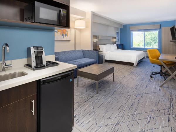 Holiday Inn Express and Suites Tampa I-75 at Bruce B. Downs, an IHG Hotel : photo 8 de la chambre suite lit king-size avec canapé-lit - adaptée aux personnes malentendantes