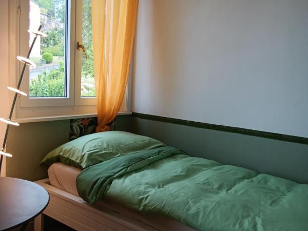 La plus belle vue du lac Léman : photo 10 de la chambre chambre double Économique