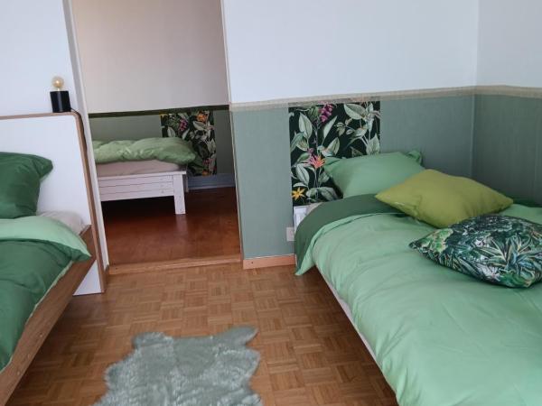 La plus belle vue du lac Léman : photo 8 de la chambre chambre double Économique