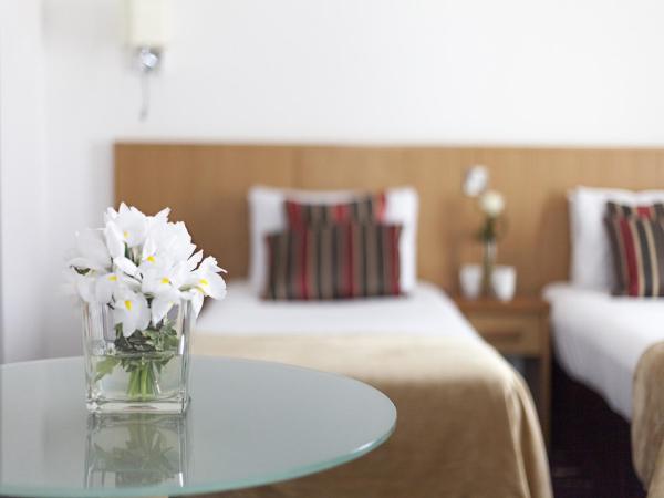 Arlington Hotel O'Connell Bridge : photo 4 de la chambre chambre lits jumeaux standard