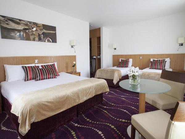 Arlington Hotel O'Connell Bridge : photo 4 de la chambre chambre familiale classique 