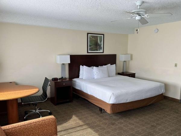 La Quinta by Wyndham Orlando South : photo 1 de la chambre chambre lit king-size exécutive