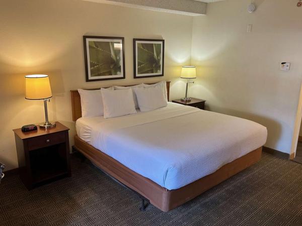 La Quinta by Wyndham Orlando South : photo 1 de la chambre chambre double pour personnes à mobilité réduite/malentendantes - non-fumeurs