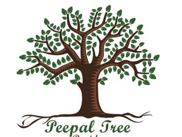 Peepal Tree Residency : photo 1 de la chambre chambre simple Économique
