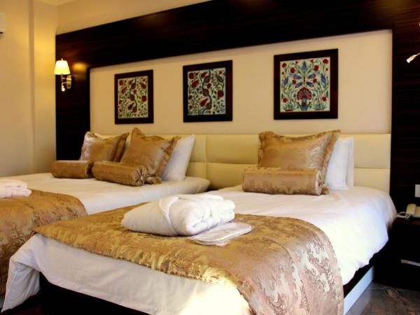 Venus Suite Hotel : photo 8 de la chambre chambre triple