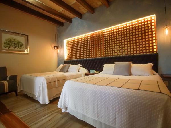 Hotel Casa Vertiz : photo 2 de la chambre chambre avec 2 grands lits queen-size