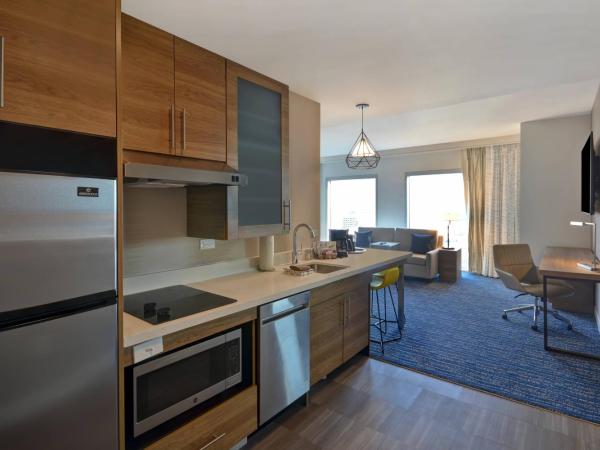 Residence Inn by Marriott New Orleans French Quarter Area/Cen B : photo 4 de la chambre studio avec 2 grands lits