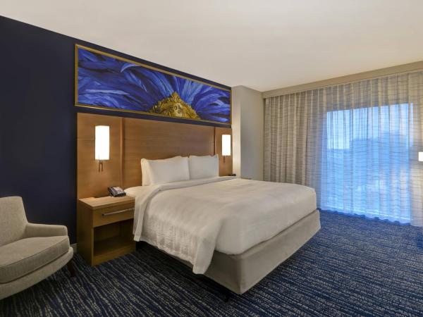 Residence Inn by Marriott New Orleans French Quarter Area/Cen B : photo 7 de la chambre studio 1 lit king-size - vue complète sur ville
