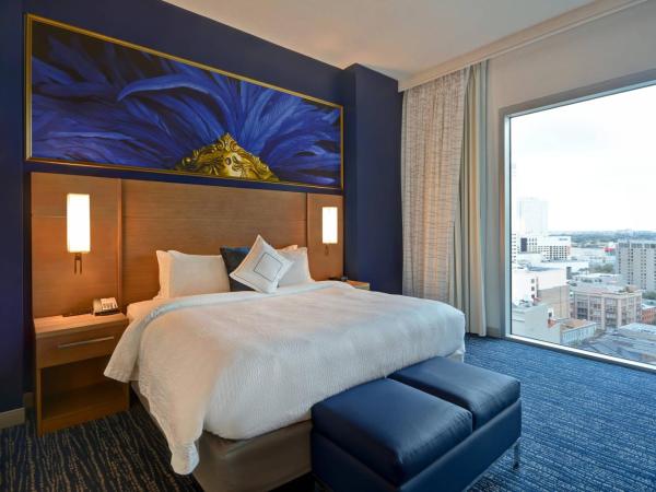 Residence Inn by Marriott New Orleans French Quarter Area/Cen B : photo 4 de la chambre suite premier 2 pièces avec 1 chambre lit king-size et canapé-lit