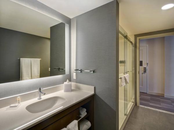 Residence Inn by Marriott New Orleans French Quarter Area/Cen B : photo 9 de la chambre suite 2 pièces avec 1 chambre et balcon - vue sur ville