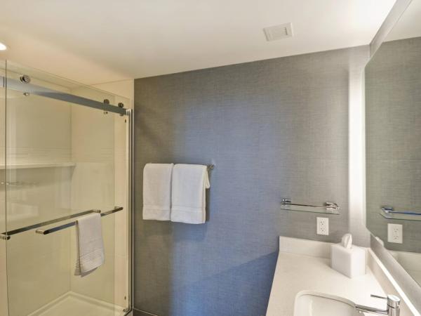 Residence Inn by Marriott New Orleans French Quarter Area/Cen B : photo 10 de la chambre studio 1 lit king-size