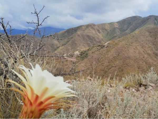 Mendoza San Isidro Cabaña : photo 6 de la chambre maison 2 chambres