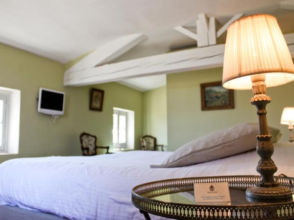 Château le Bouïs : photo 5 de la chambre chambre double ou lits jumeaux de luxe - vue sur parc