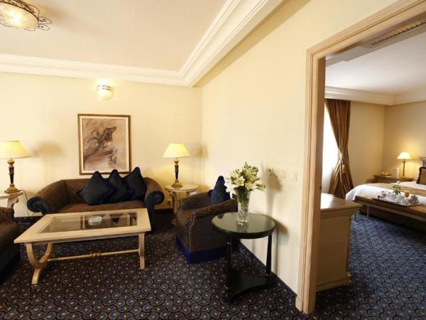 Regency Tunis Hotel : photo 9 de la chambre suite junior - vue sur jardin