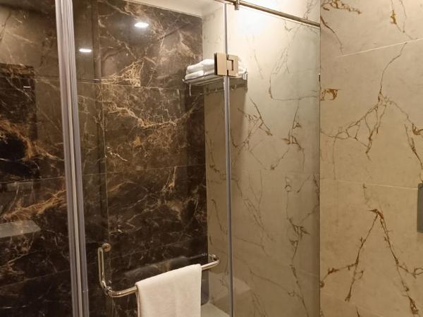 Hotel Shubh Vilas : photo 2 de la chambre chambre double deluxe