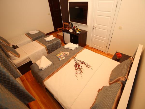 Grand almira hotel : photo 3 de la chambre chambre quadruple standard