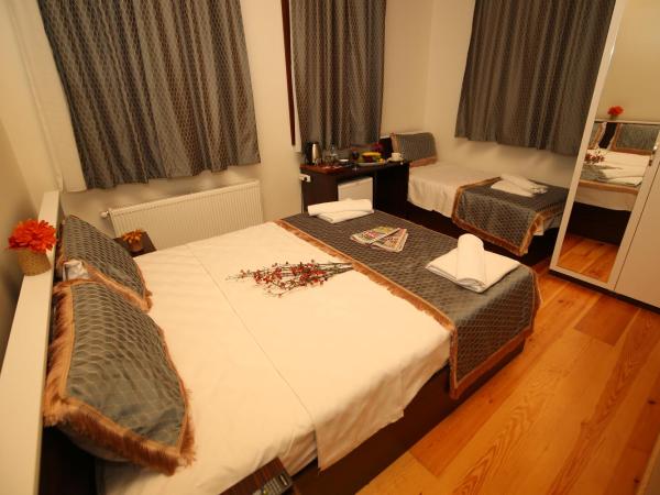 Grand almira hotel : photo 3 de la chambre chambre triple standard