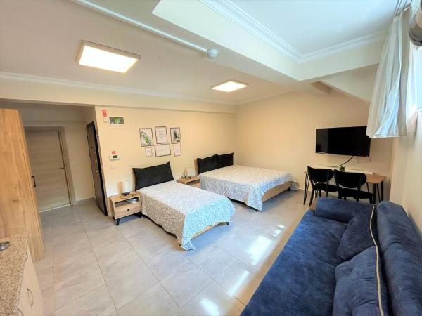 ZMF Pansiyon : photo 3 de la chambre studio