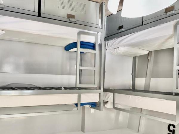 The White Tulip Hostel : photo 1 de la chambre lit dans dortoir mixte de 6 lits