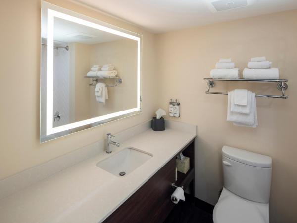 Holiday Inn Victoria - Elk Lake, an IHG Hotel : photo 1 de la chambre chambre standard avec 2 lits queen-size