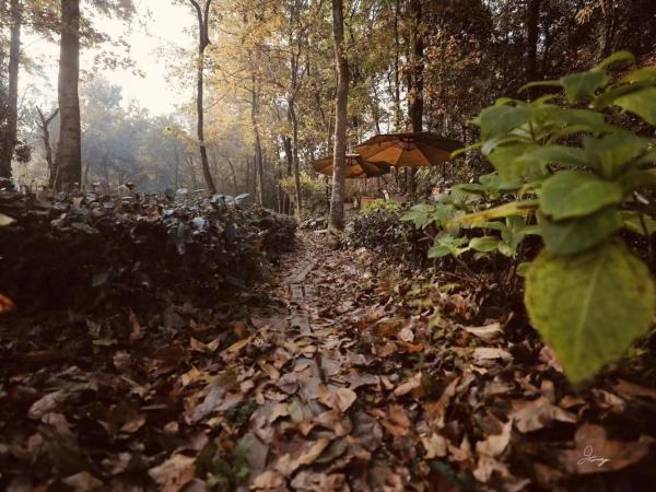 Formeet Boutique Homestay : photo 1 de la chambre chambre double deluxe avec baignoire