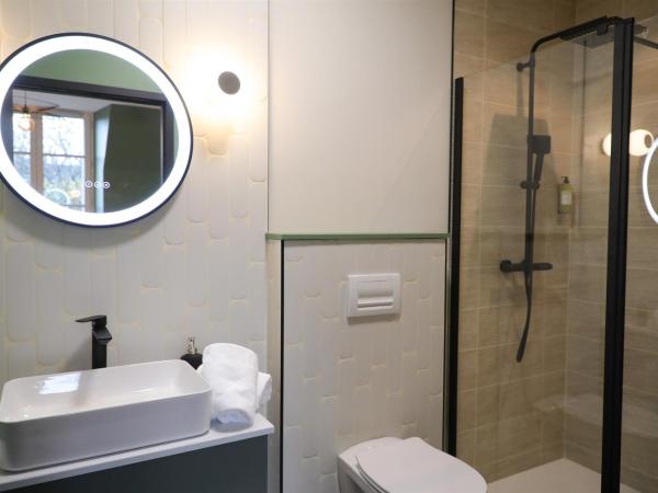 La Villa Ponsin : photo 9 de la chambre loft