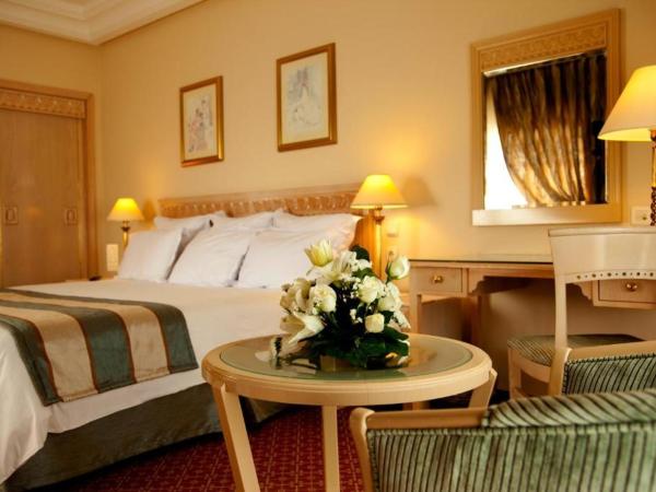 Regency Tunis Hotel : photo 7 de la chambre chambre supérieure - vue sur jardin