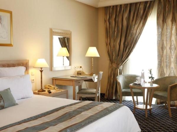 Regency Tunis Hotel : photo 4 de la chambre chambre standard avec vue sur le jardin