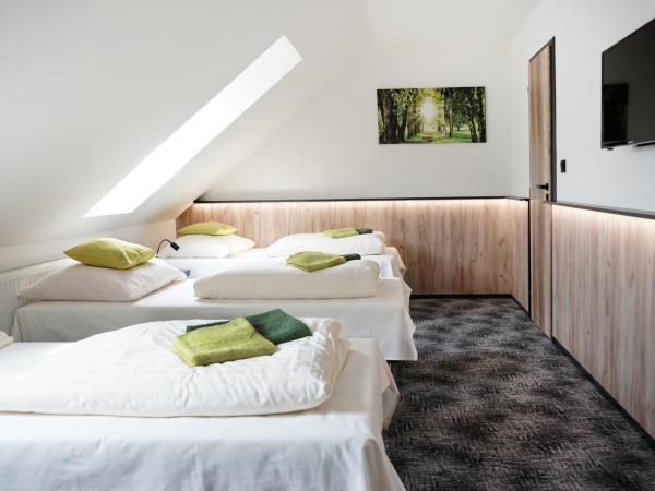 Penzion Smile : photo 2 de la chambre chambre triple avec salle de bains privative