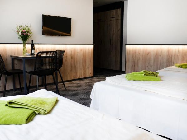 Penzion Smile : photo 5 de la chambre chambre triple avec salle de bains privative